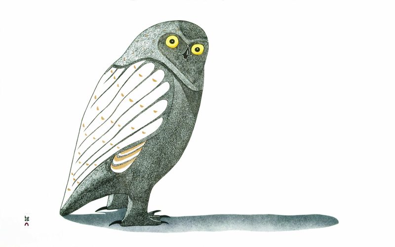 Kananginak Pootoogook — artwork