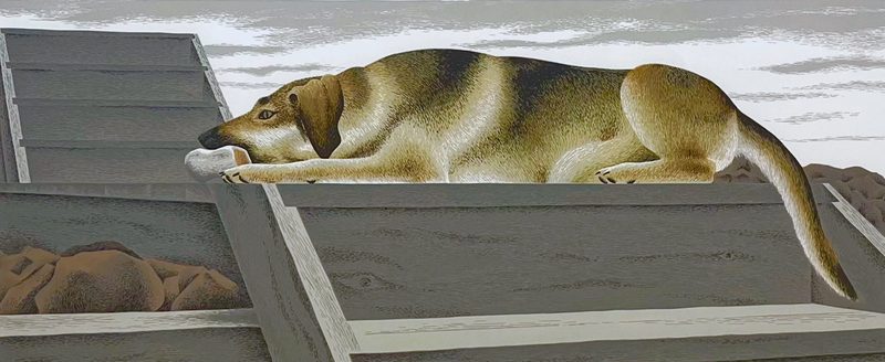 Pitseolak Oshutsiaq — artwork